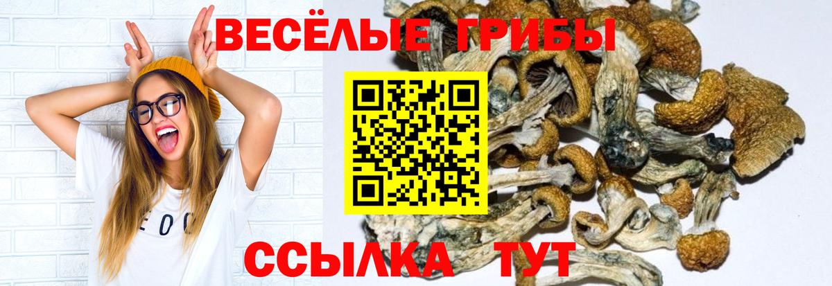 Морозовск  Галлюциногенные грибы мицелий  Вход с VPN 