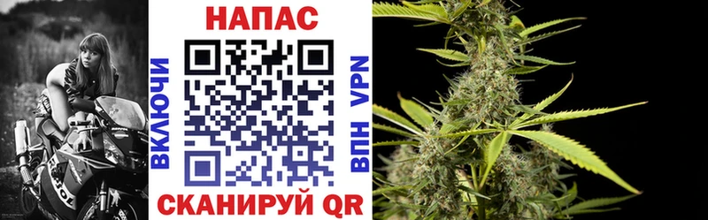 это какой сайт  Морозовск  Каннабис White Widow 